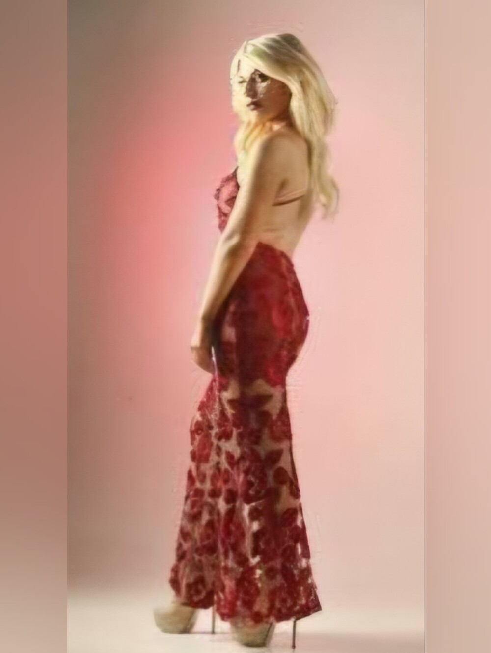 Starlette Red Velvet Floral Sheer Mesh Maxi Dress - Open Criss-Cross Back (Size - Picture 4 of 12